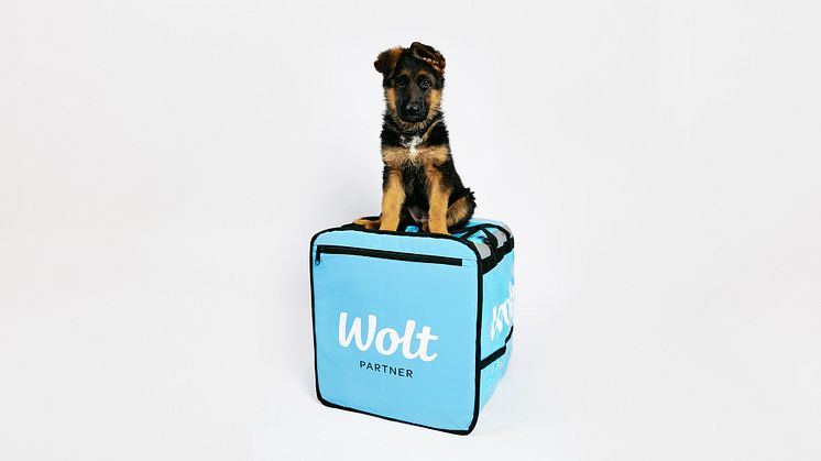 Wolt lanserar samarbete med Hundstallet – hund på köpet vid ordrar över 150 SEK