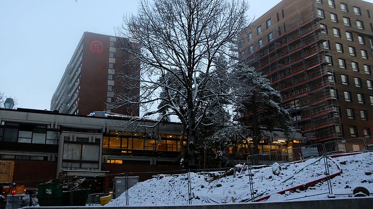 SiO inviterer til pressefotografering av massivtrebygg på Kringsjå Studentby. Foto: Unni Irmelin Kvam / SiO