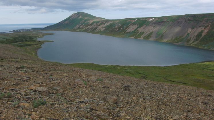 Landskapsbild över ett av provtagningsområdena på norra Island.