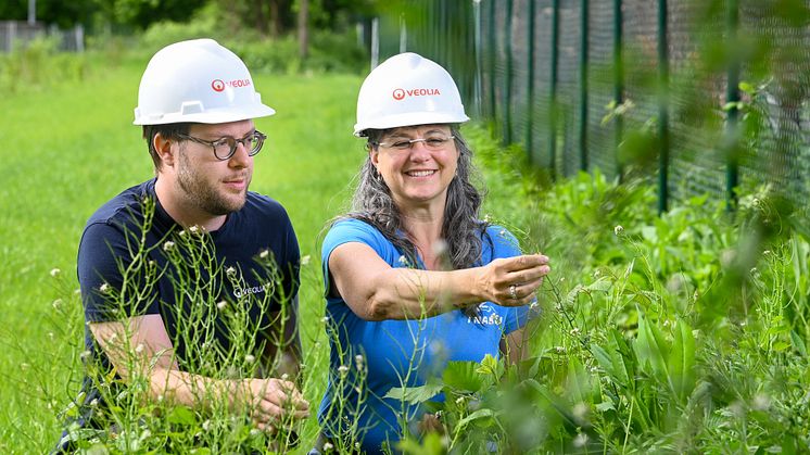 Veolia_Biodiversität Kläranlage Bad Münder_Matthias Kisser_Britta Raabe_Foto H. Rebsch