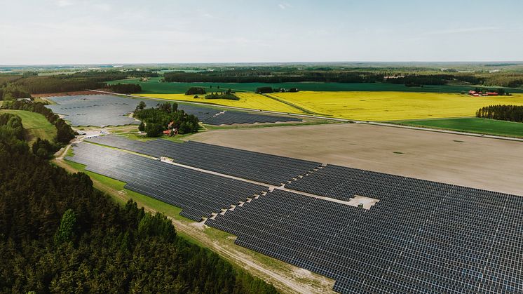 Sveriges största solpark invigd - ska driva Gröna Lund, Kolmården och Skara Sommarland