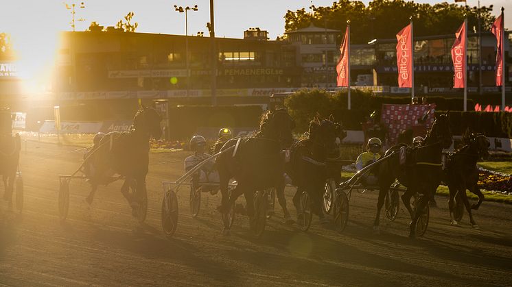 ​Solvalla höjer prispengarna i Elitloppsförsöken 2021. Foto: TR Bild