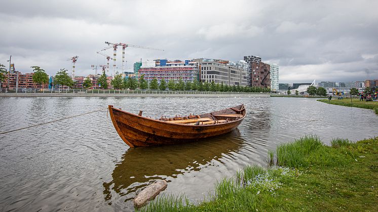 Norild på vannet i Middelalderparken Vannspeilet 