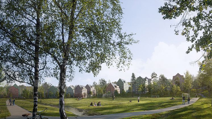 Illustration som visar hur bebyggelsen kan komma att upplevas från Campusparken. Illustration: Sunnerö Arkitekter/Visulent.