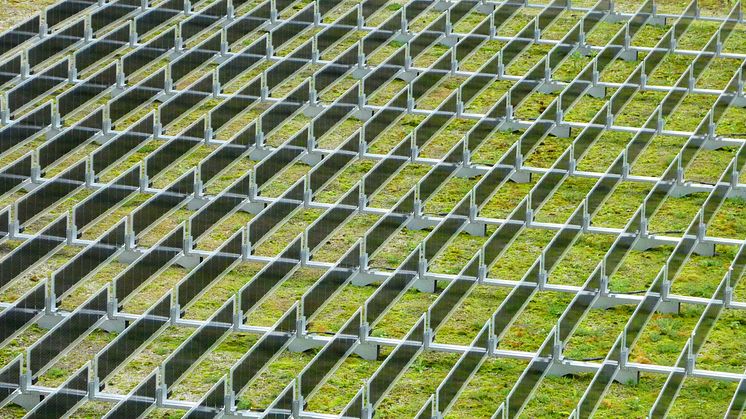 Norwegisches Startup Over Easy Solar bringt vertikale beidseitige Solarmodule auf den deutschen Markt