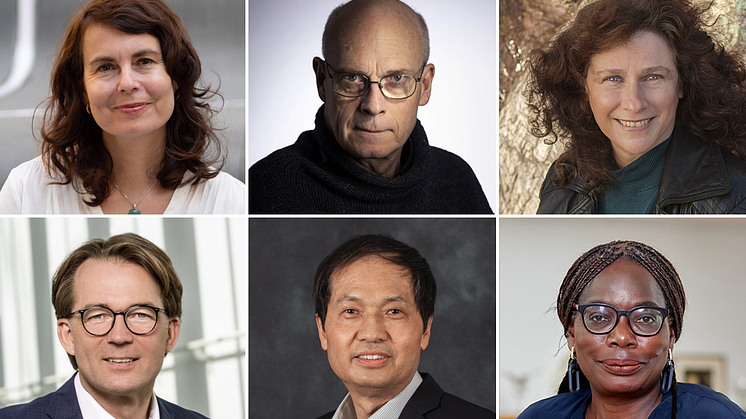 Hedersdoktorer vid Stockholms universitet 2024: Katja Franko, Magnus Florin, Camille Parmesan, Matthias Tschöp, Zhaojun Bai, Phoebe Okowa. (Fotografer, se längst ner i pressmeddelandet.)