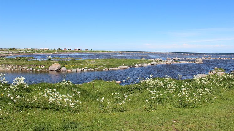 Om 100 år kan 3000 öar ha försvunnit i Stockholms skärgård