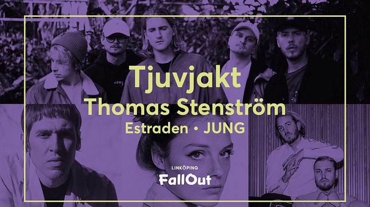 Tjuvjakt till Linköping FallOut