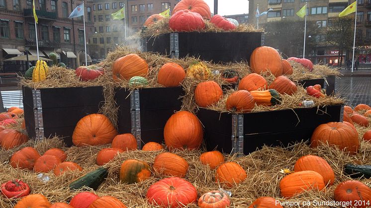 Pumpor och ljus på Sundstorget