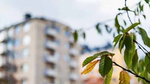 hus-med-löv-i-förgrunden_dsc6707