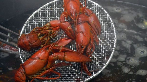 Crayfish supper with respect for tradition
