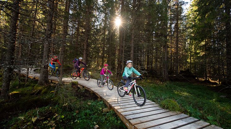 Familien fra Stange liker seg veldig godt på sykkelstiene i Trysil. Foto: Jonas Hasselgren