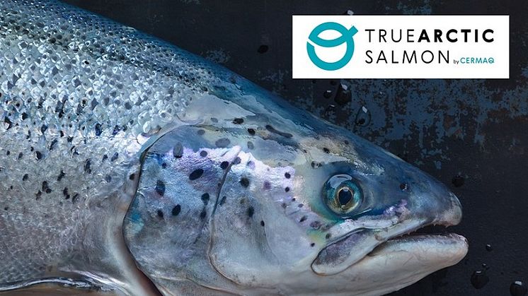 True Arctic salmon is raised north of the Arctic Circle, where the water is cold and the salmon grows slower, resulting in specific product qualities.