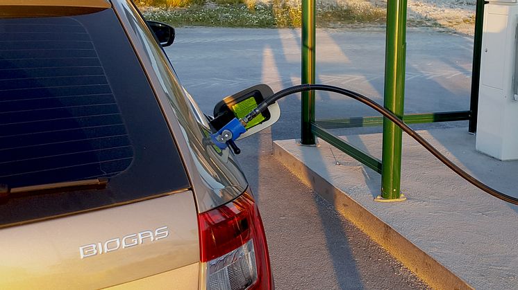 Här är materialet som samlar alla gasfordon på marknaden