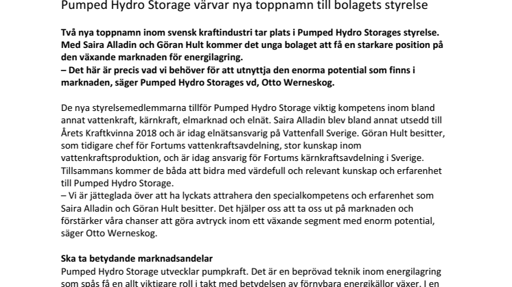 Pumped Hydro Storage värvar nya toppnamn till bolagets styrelse 