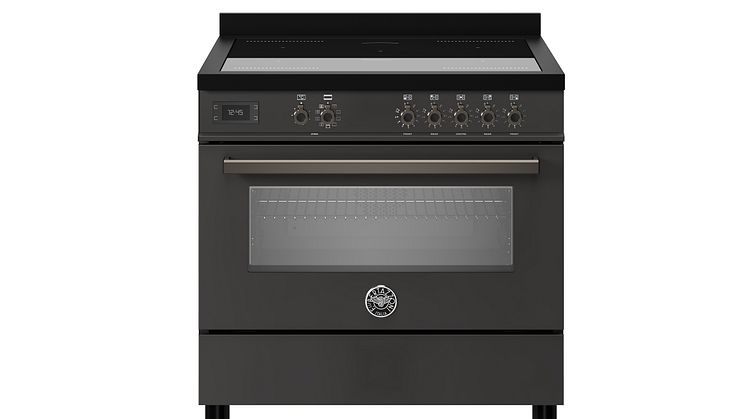 Bertazzoni PRO95I1ECAT