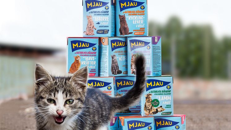 Kattmatstillverkaren Mjau lanserar gåvoshop för utsatta katter