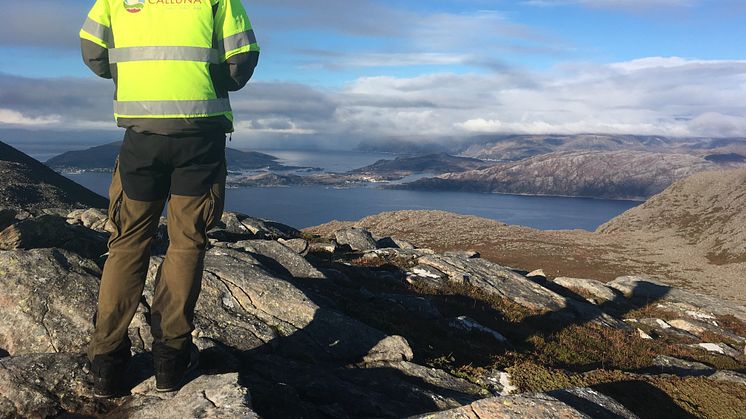 Calluna vill som ny medlem i Svensk Vindenergi fortsätta att bidra till att biologisk mångfald främjas i svenska vindkraftsprojekt. ﻿Foto: Jonas Mattsson. 