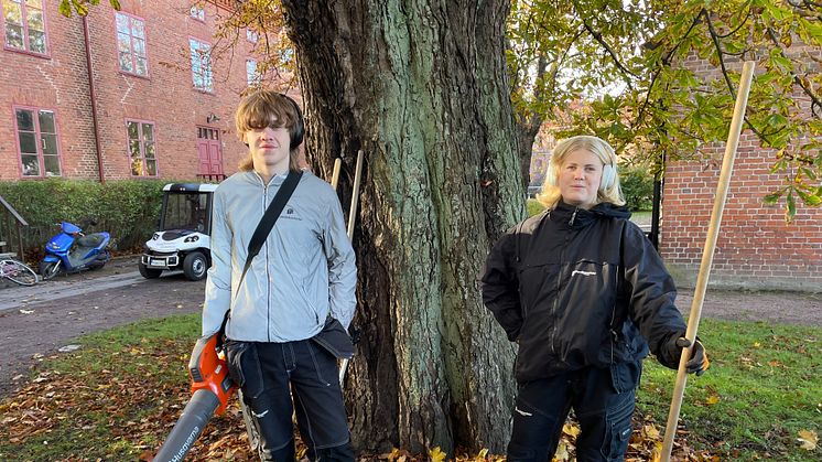 Knut Alstam och Thea Novak höstlovsjobbar hor Familjebostäder i Kungsladugård