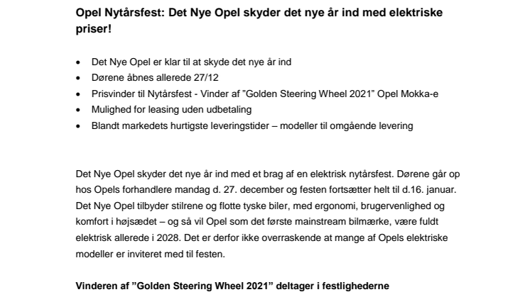 PM_nytårsfest_Opel.pdf