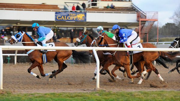 Svensk Galopp effektiviserar verksamheten