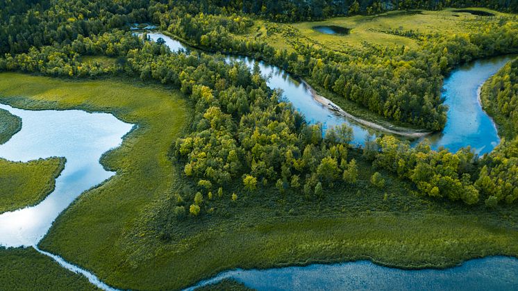 Samtidig som vi legger til SAF på alle våre billetter, vil vi nå også kunne tilby våre reisende, som kjøper sine billetter på våre hjemmesider, muligheten til å redusere sine CO2-utslipp ved å kjøpe enda mer SAF for sin flyvning.