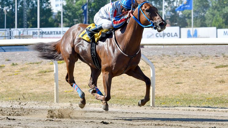 Kan I Kirk vinna Zawawi Cup igen? Foto: Stefan Olsson/Svensk Galopp