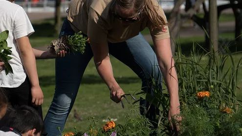 Pressinbjudan: Ekologiska vårlökar planteras i barnens rabatt i Stadsparken imorgon