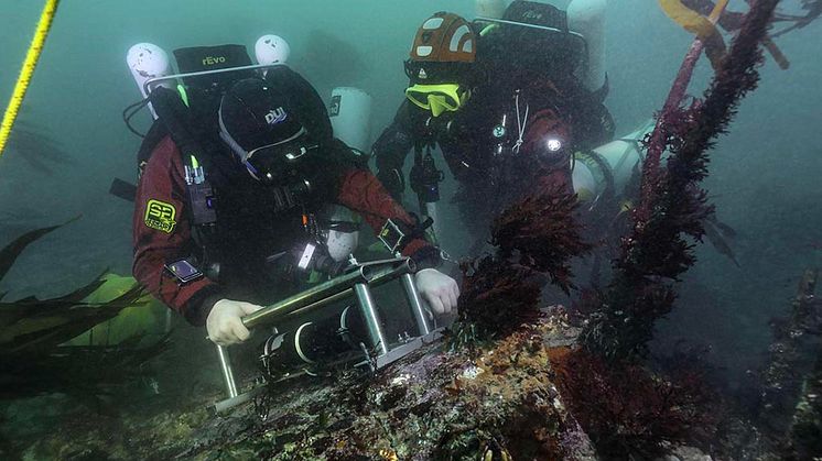 Havet - en stor potentiell kraftkälla