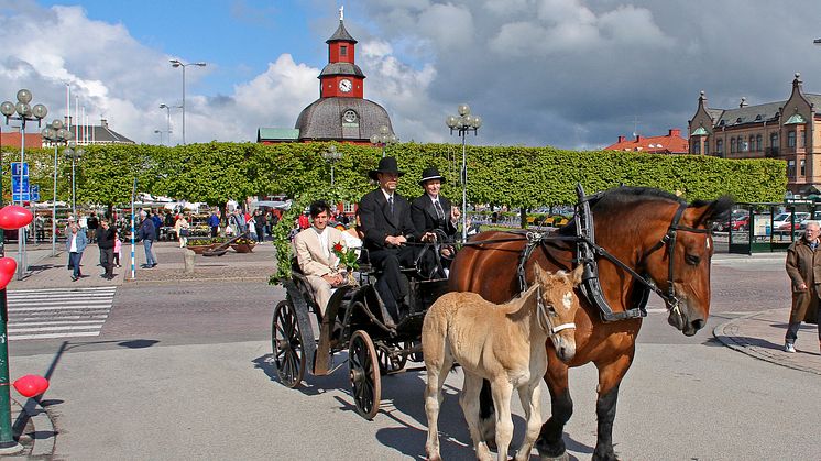 Häst Vagn på stan Foto Destination Läckö-Kinnekulle.jpg