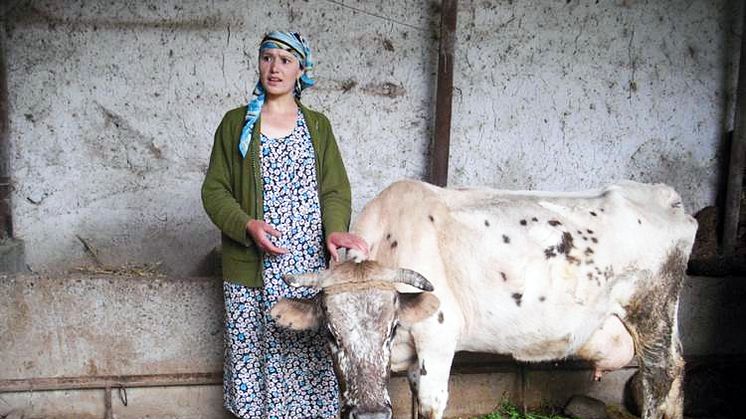 Tadzjikisk kvinna med ko. Foto: Elisabeth Lindahl Rajala
