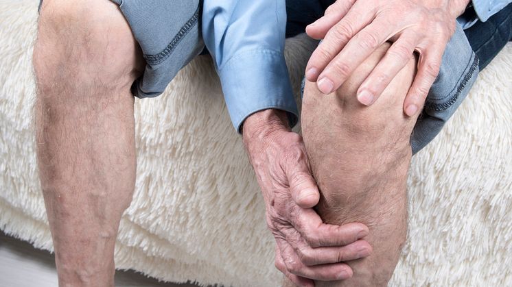En digital artrosskola för höft-, knä- och handartros införs brett inom primärvården.