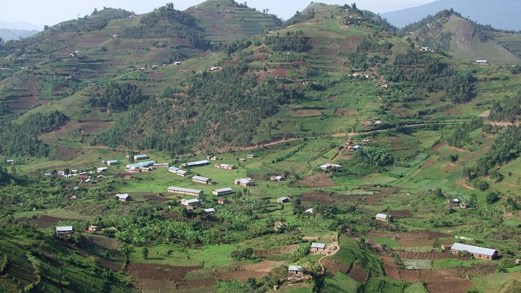 Vy över Virunga-bergen i Uganda. Foto: Achim Prill / Mostphotos