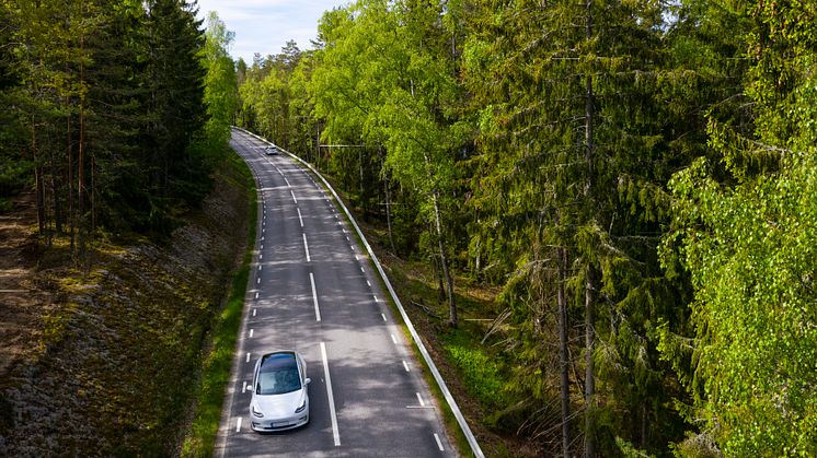 Cheap forest waste can be used to make supercapacitors. Photo: Johnér bildbyrå AB