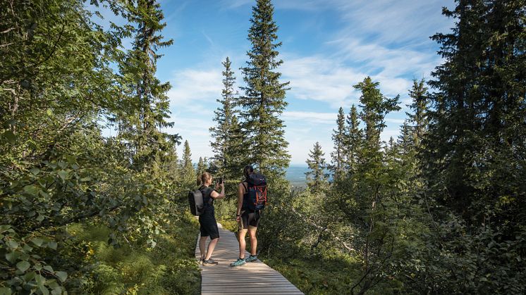 Nytt projekt ska stärka Dalarnas cykel- och vandringsleder