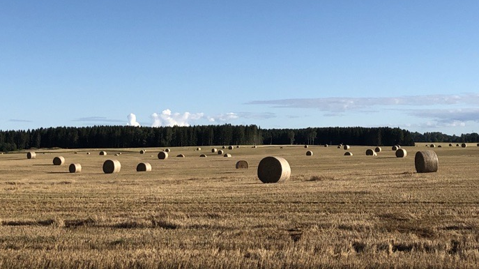 Erik från Kil är föreslagen som ny regionordförande i LRF Värmland!