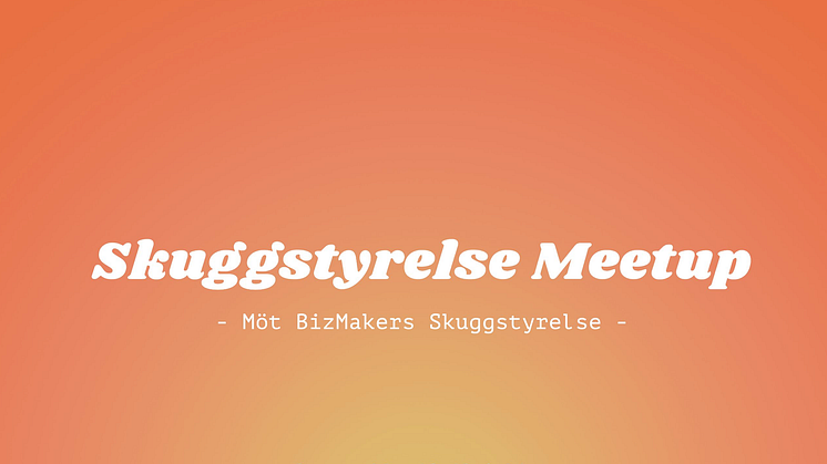Skuggstyrelse-Meetup.png