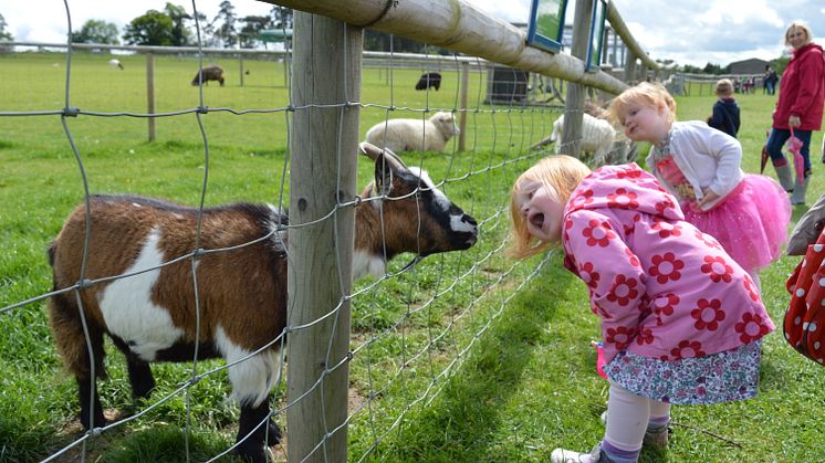 Children at Hatfield Park Farm
