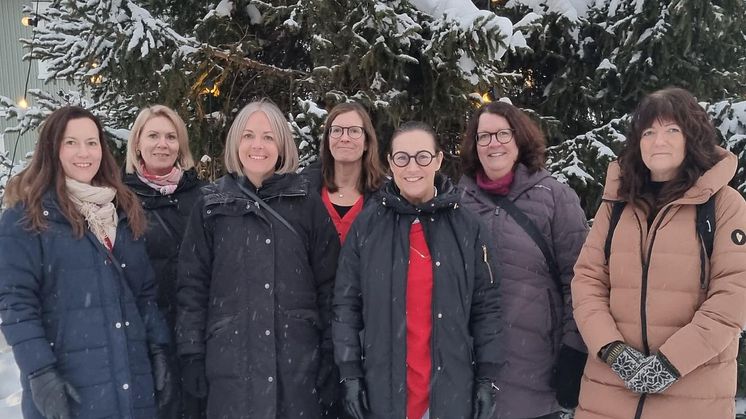 Sandra Åström Wibax, Linda Larsson Pite Energi, Johanna Vincent Sparbanken Nord, Åsa Rundgren Smurfit Kappa Piteå, Lena Fernberg ShoreLink, Cathrine Granberg Piteå kommun, Marie Lindgren Berglund Piteå Science Park. Foto: Anna Malmström.