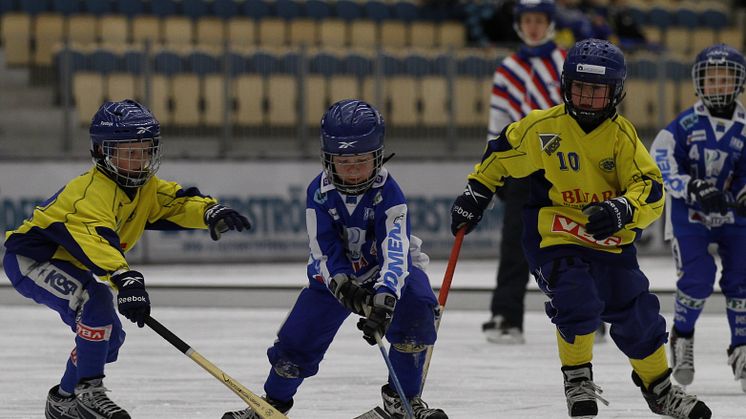 Friends medverkar när Bandy-VM sätter tryggheten i fokus