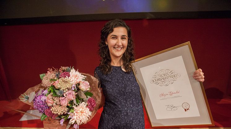 Negra Efendić, vinnare av Årets Berättare 2016