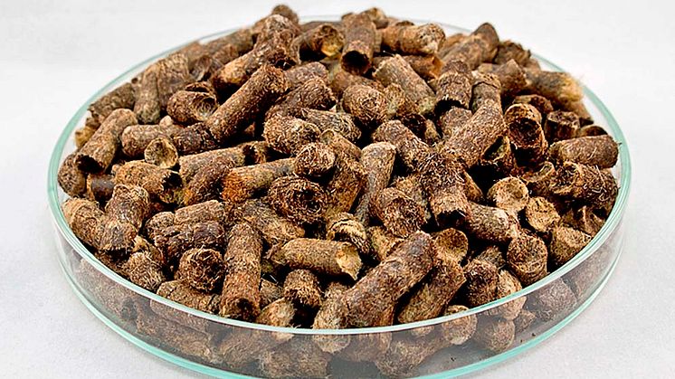 Organischer Dünger – Vorteile von Schafwoll-Pellets