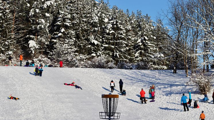 Vinter i Järva DiscGolfPark. Så kallade begravningsöar ska byggas direkt ovanför och under pulkabacken enligt stadens plan.