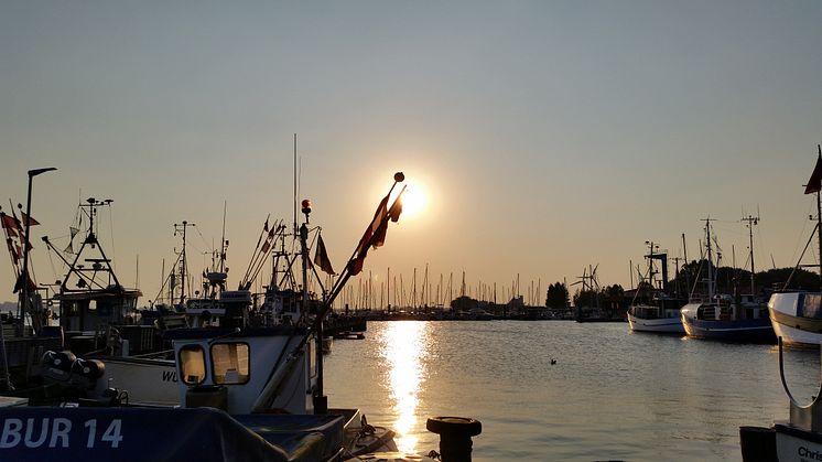 Hafen Burgstaaken © Tourismus-Service Fehmarn