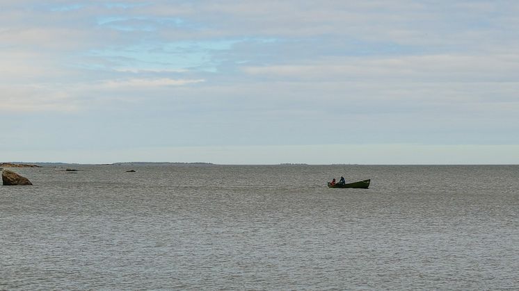 Fiskereglerna för kusten kontrolleras