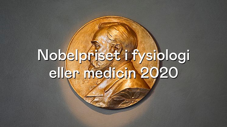 Nobelpriset till upptäckten av hepatit C  – från ny sjukdom till bot