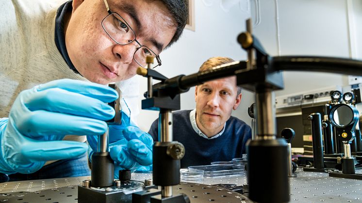 Shangzhi Chen, doktorand, och Magnus Jonsson, forskningsledare inom organisk fotonik och nano-optik, Laboratoriet för organisk elektronik. 