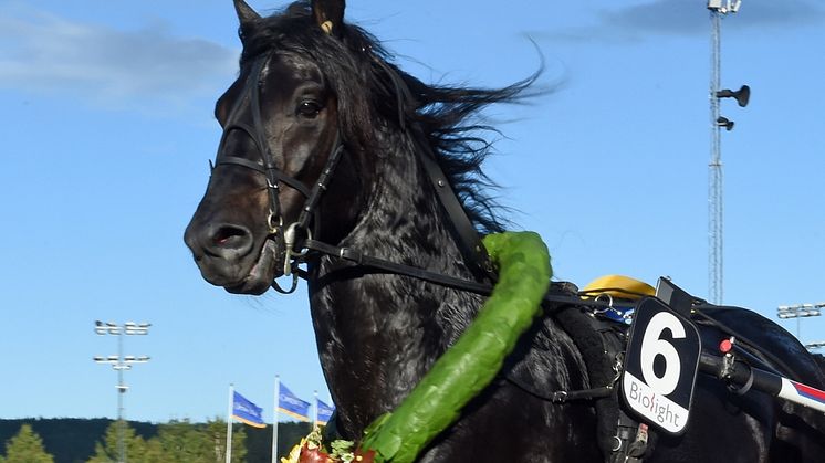 Tar Månprinsen A.M. hem en ny titel på Hästgalan?