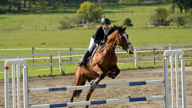 Titania Cup avslutad efter lyckad säsong