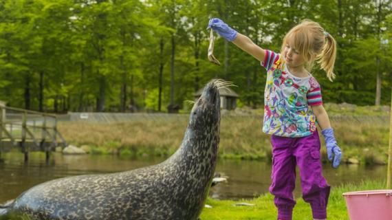 Skånes Djurpark förväntas bli Skånes största turistmagnet 2016